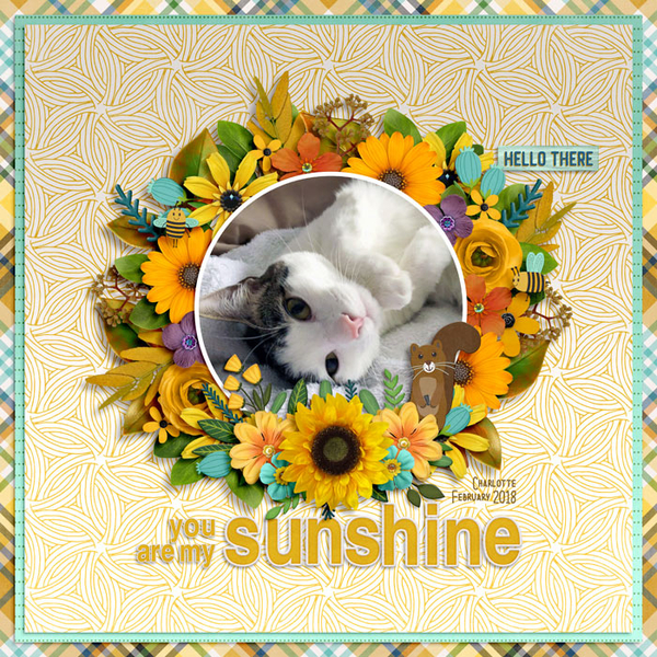 you are my sunshine