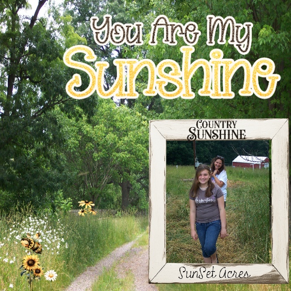 You are my sunshine
