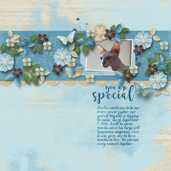 You are special