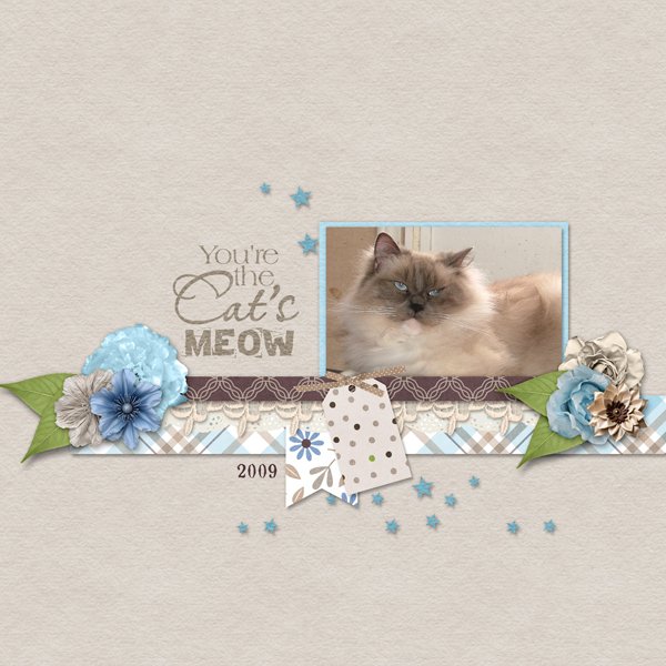You Are the Cat's Meow