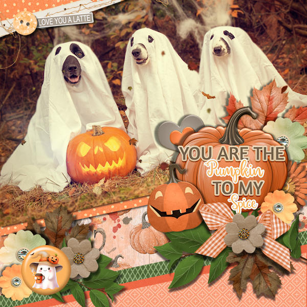 You Are The Pumpkin To My Spice