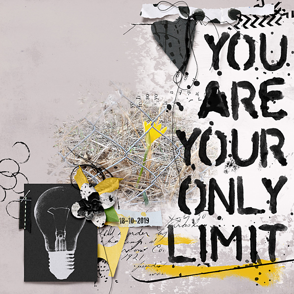 You are your only limit