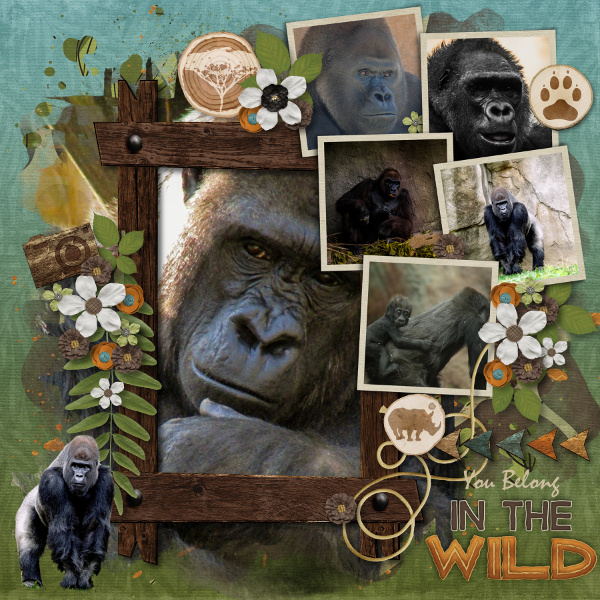 You Belong in the Wild
