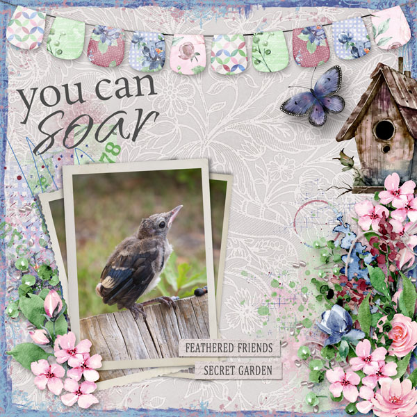 You Can Soar...