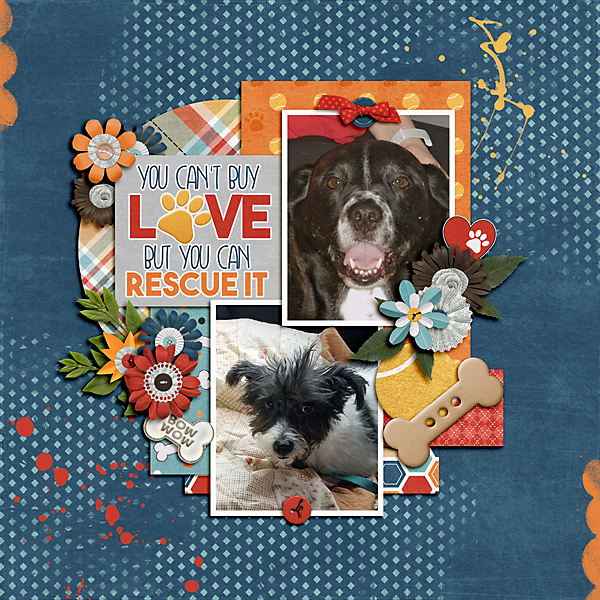 You Can't Buy Love But You Can Rescue It