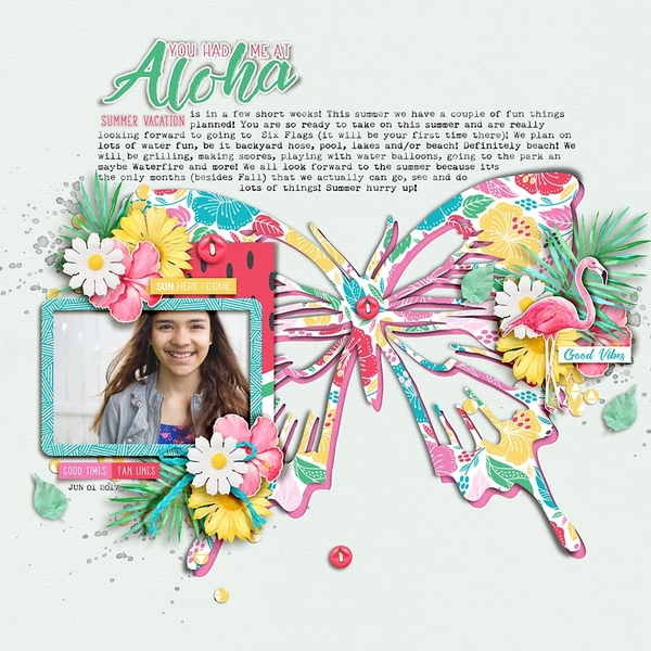 You Had Me at Aloha