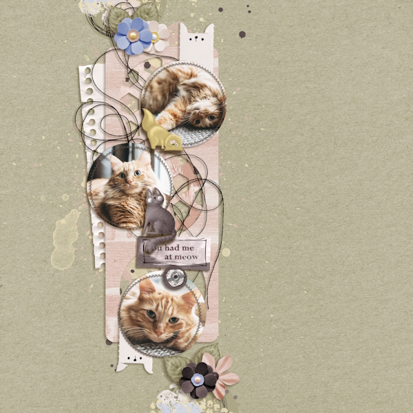 You had me at meow