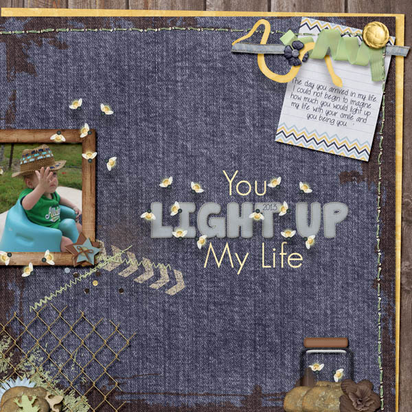You Light Up My Life
