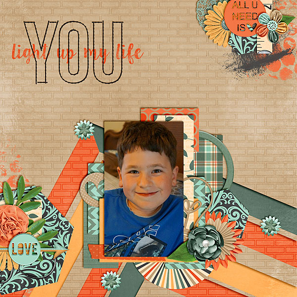 You Light Up My Life