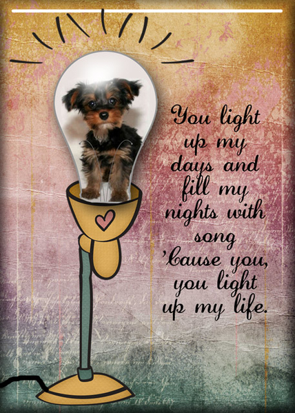 You Light Up My Life