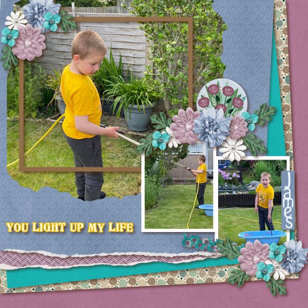 You Light Up My Life