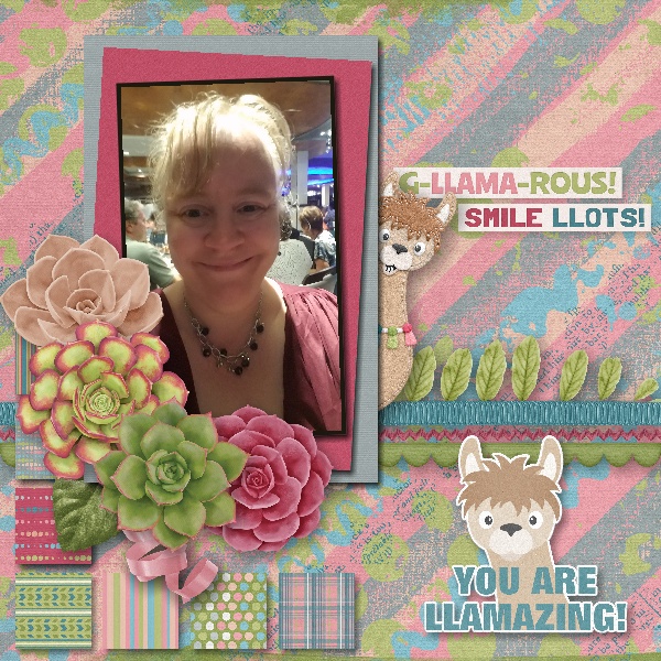 You Look Llamzing