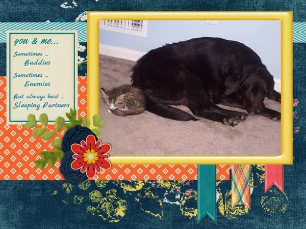 You + Me - May 2016 Designer Spotlight Challenge