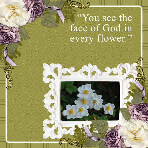 You see the face if God in every flower
