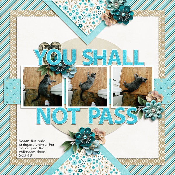 You Shall Not Pass