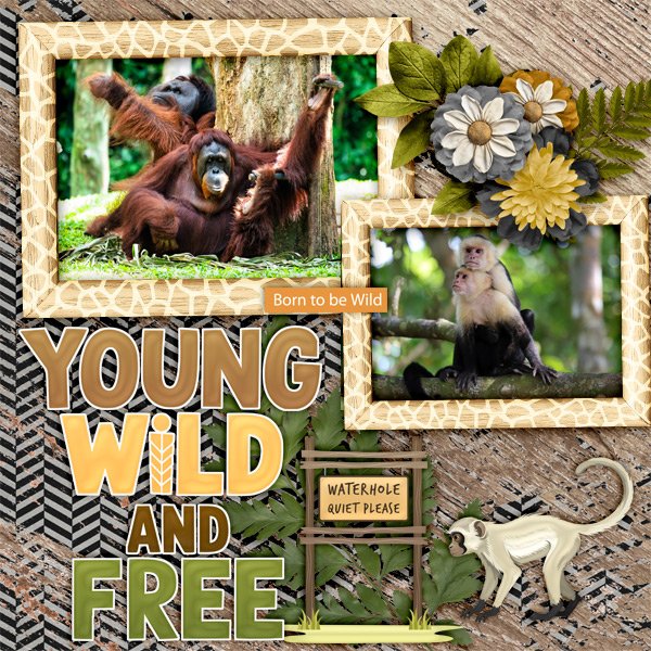 Young-wild-and-free.jpg