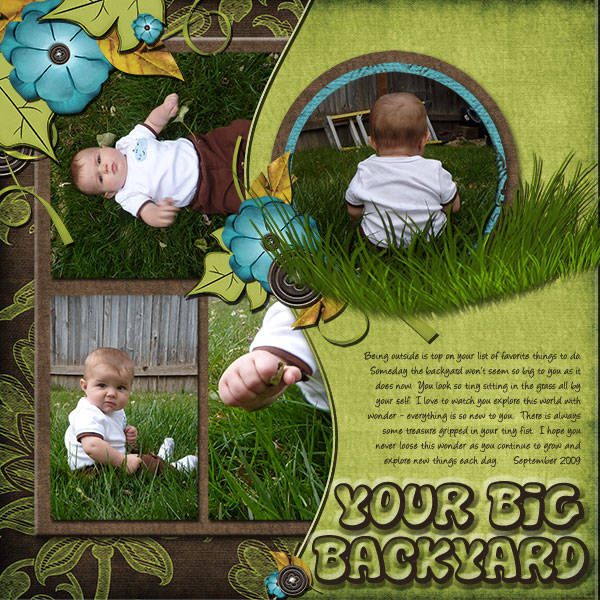 Your Big Backyard