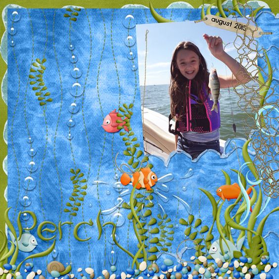 your first perch