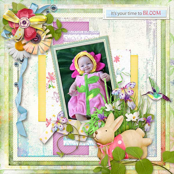 Your Time To Bloom