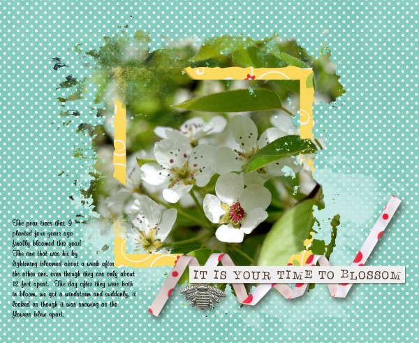 Your Time to Blossom