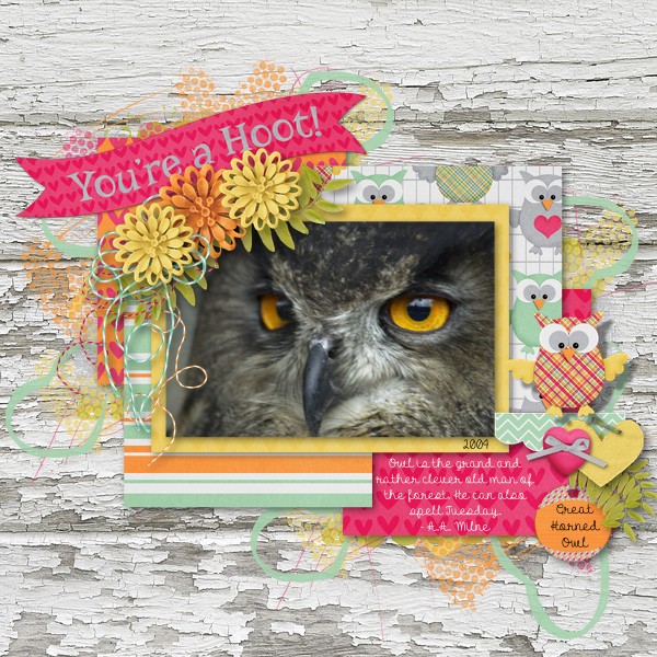 You're A Hoot