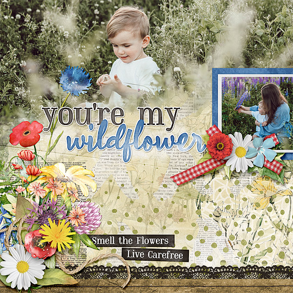 You're My Wildflower