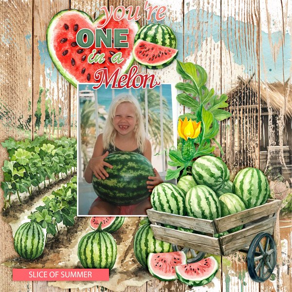 You're-one-in-a-melon.jpg