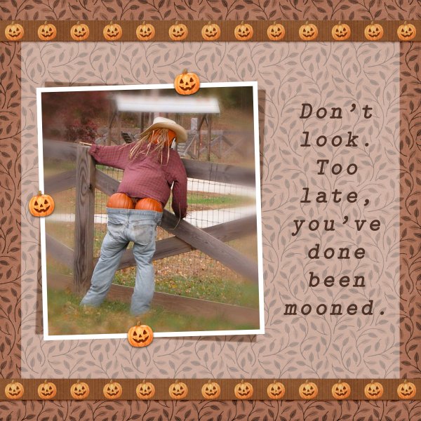 You've Done Been Mooned