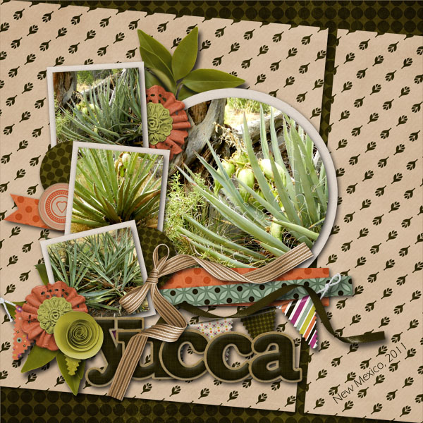 Yucca
