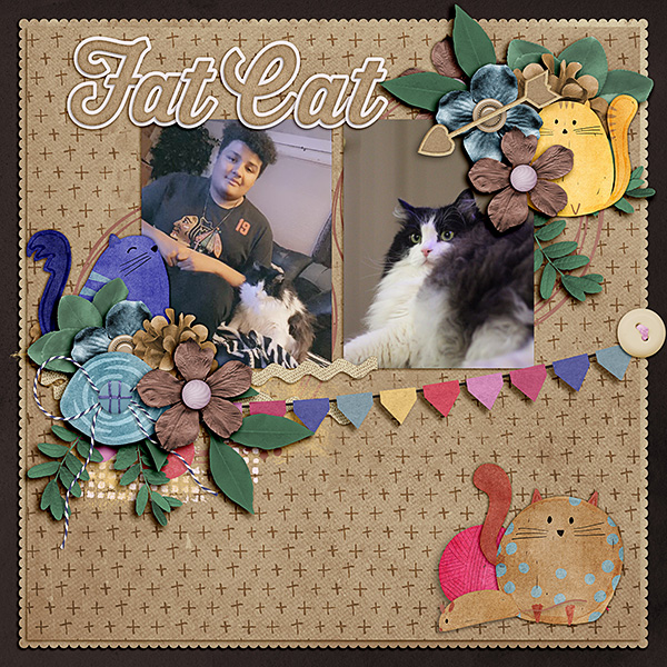 Zay-and-fat-cat