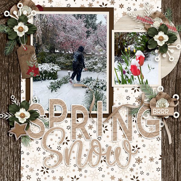 Zay-in-the-Snow