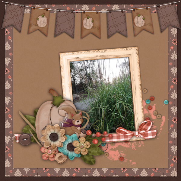Zebra Grass