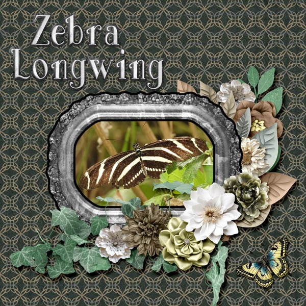 Zebra Longwing Butterfly small.jpg