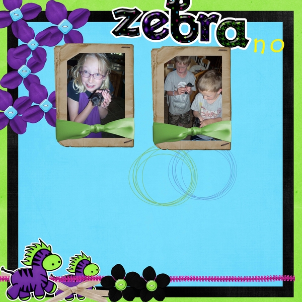 zebra no