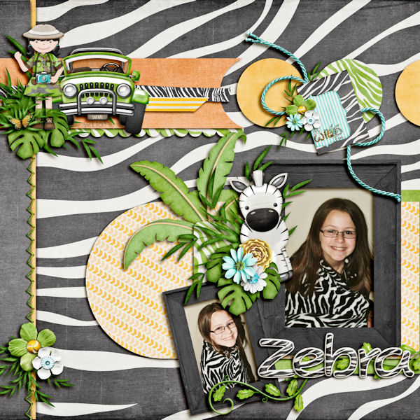 Zebra