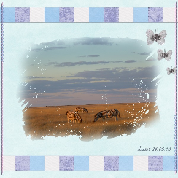 zebras sunset