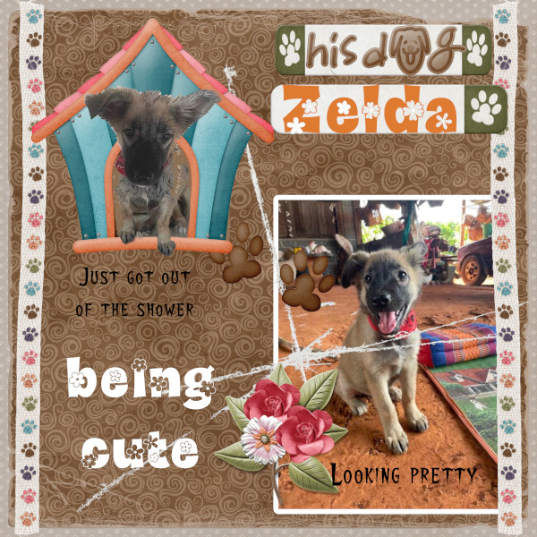 Zelda