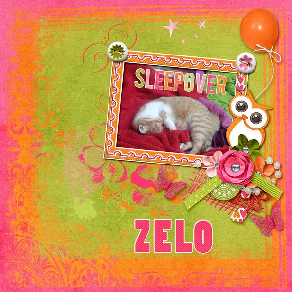 zelo2
