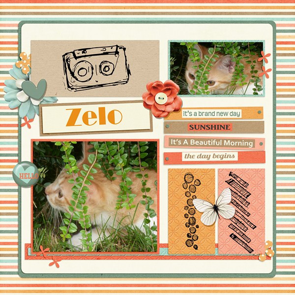 zelo_in_the_garden