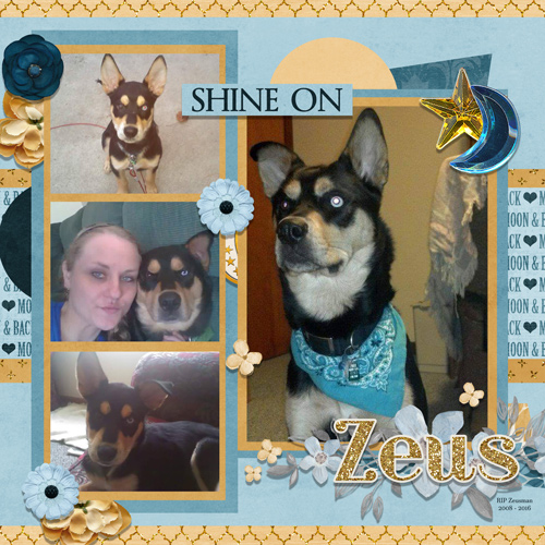 Zeus