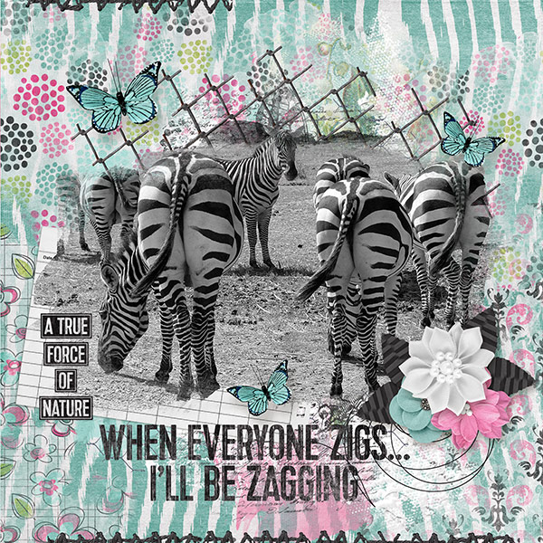 Zig Zag