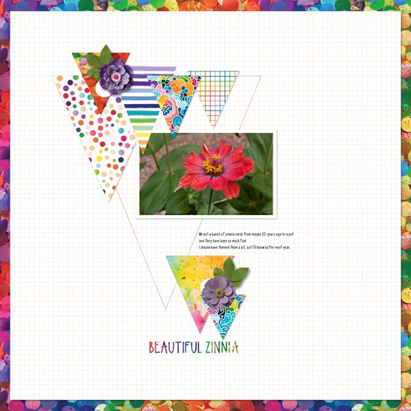 Zinnia - Fall 2025