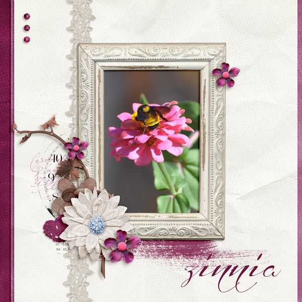 Zinnia - March DDL challenge