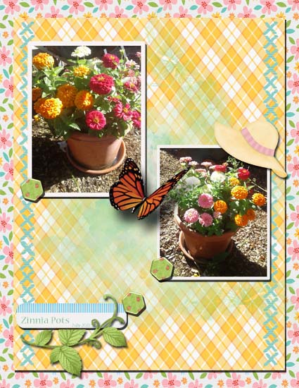 Zinnia Pots