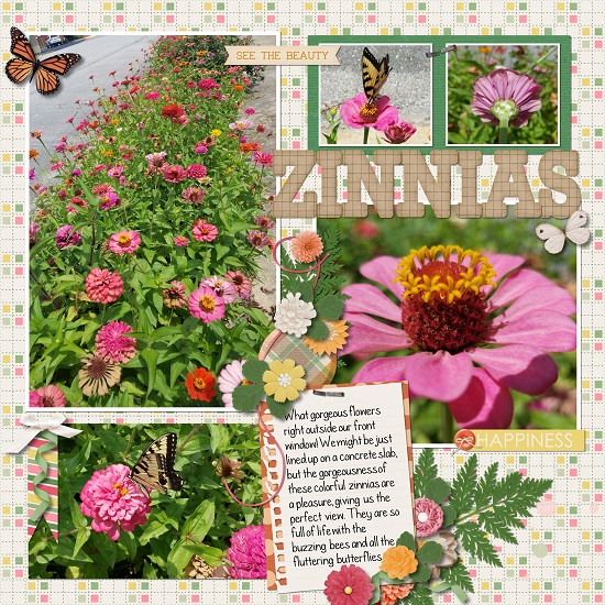 Zinnias