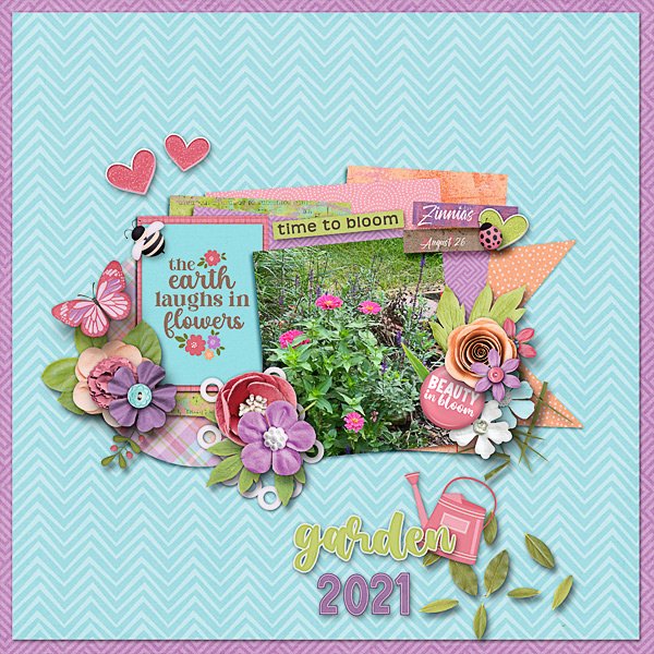 Zinnias