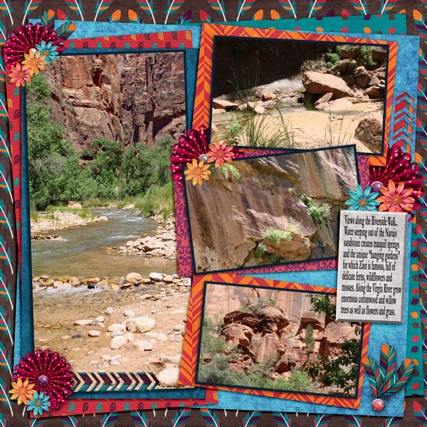 Zion NP Plants