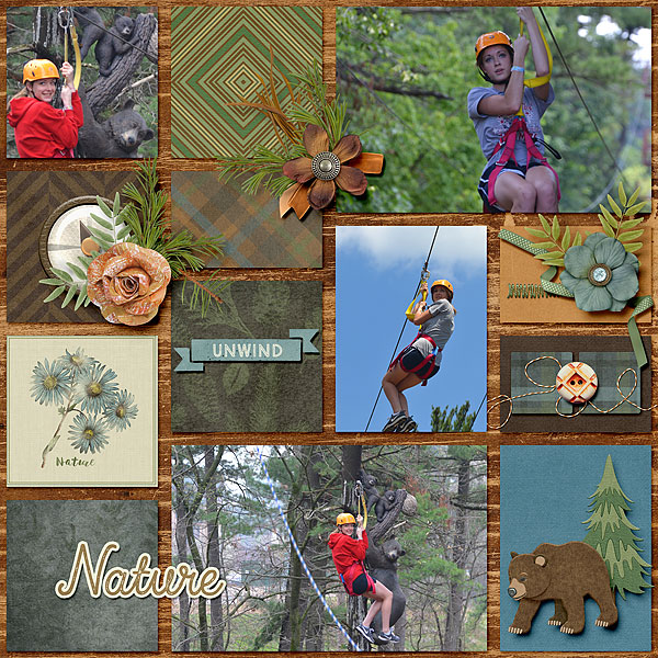 Zipline Fun