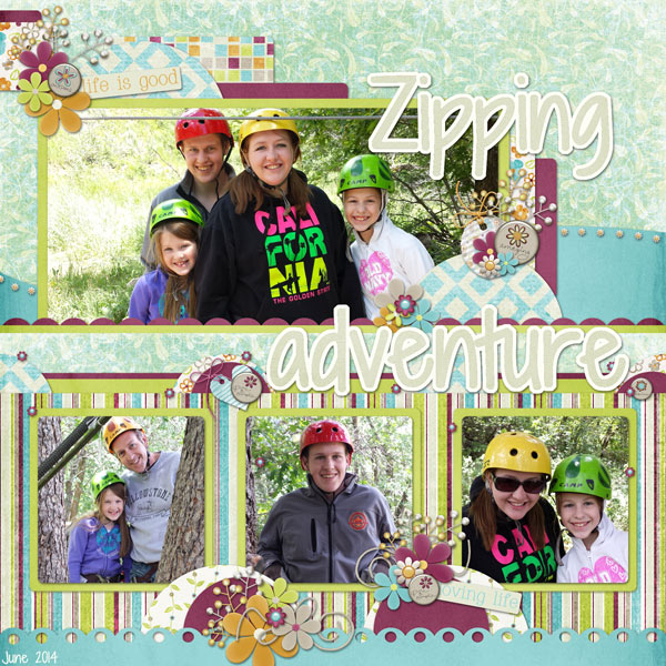 Ziplining-2014WEB