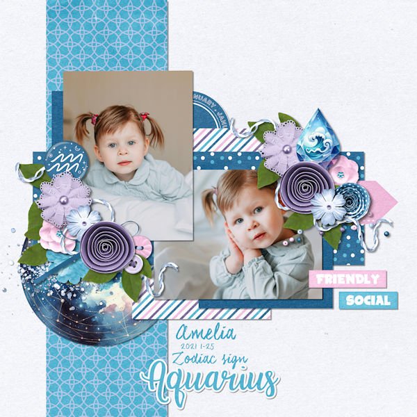 Zodiac Aquarius